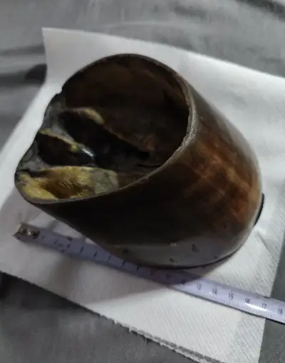 Starožitný popelník z loňského kopyta