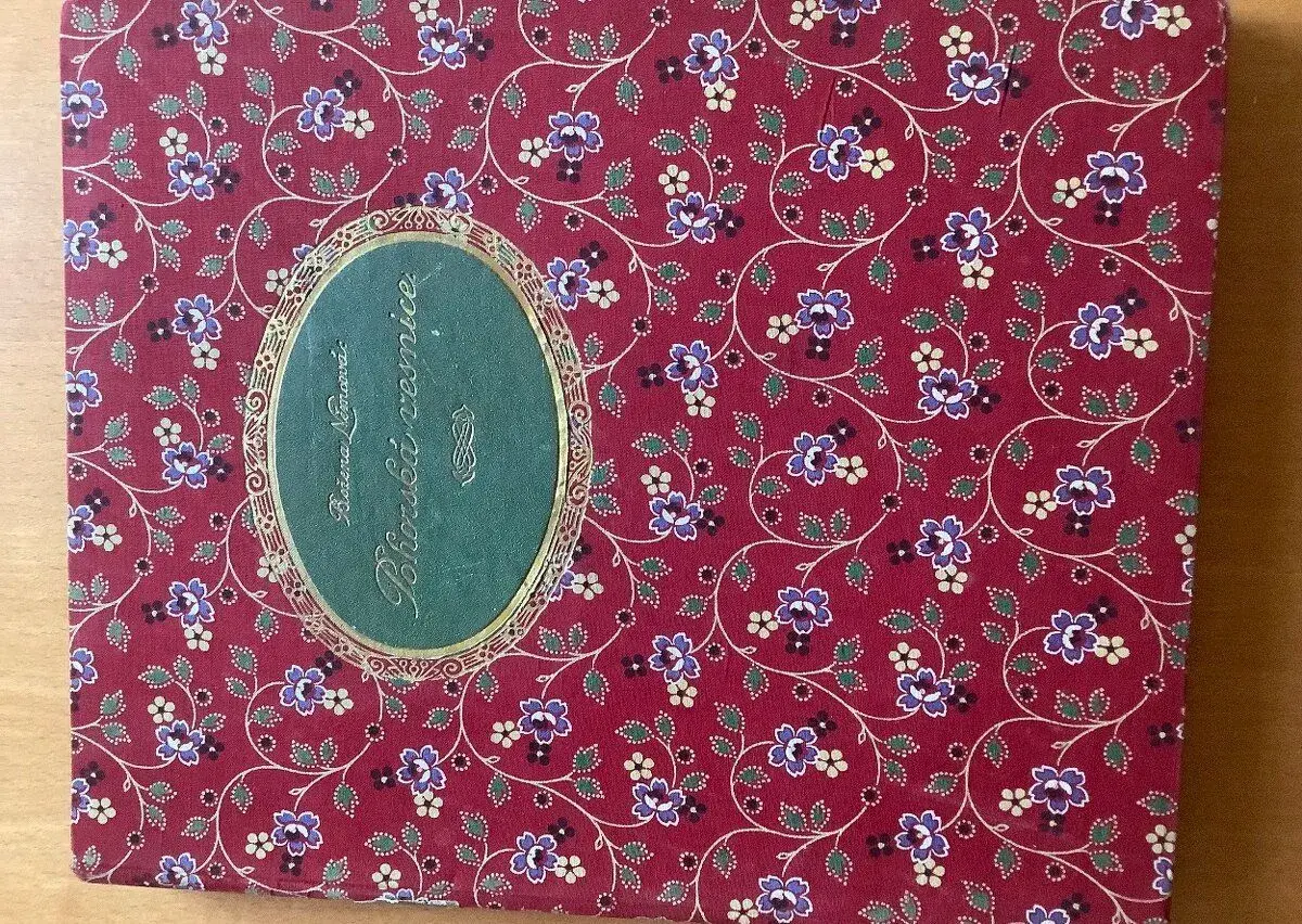 Pohorská vesnice, ilustrace A. Kašpara, r. vydání 1921