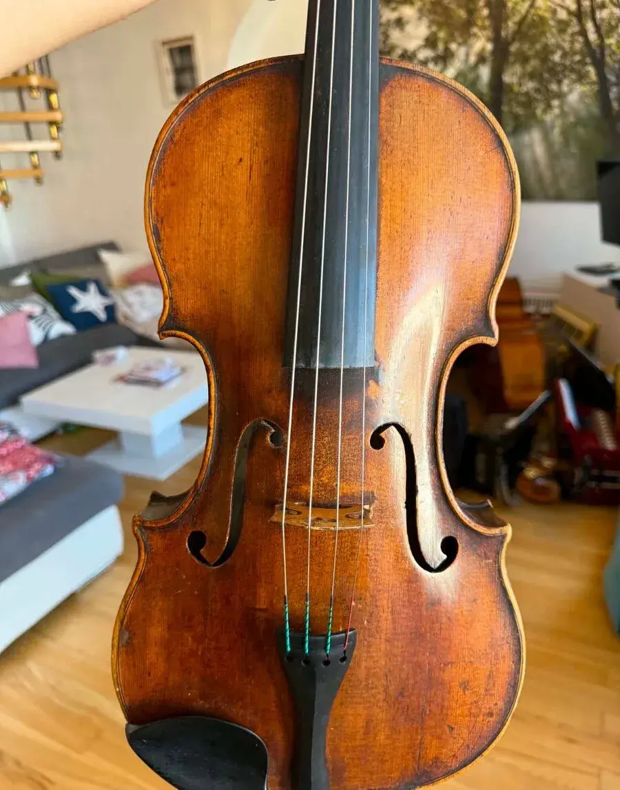Viola 40