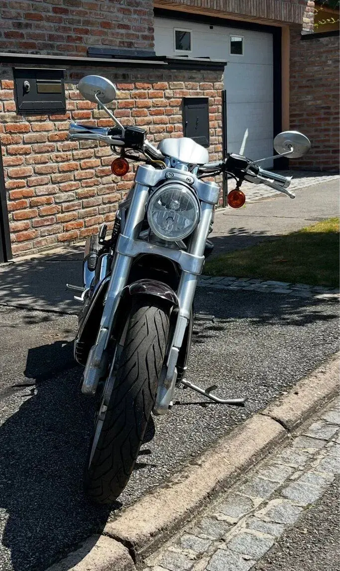 Harley - Davidson, Street Rod ( VR2 ) VRSCR ( dvoubarva ).