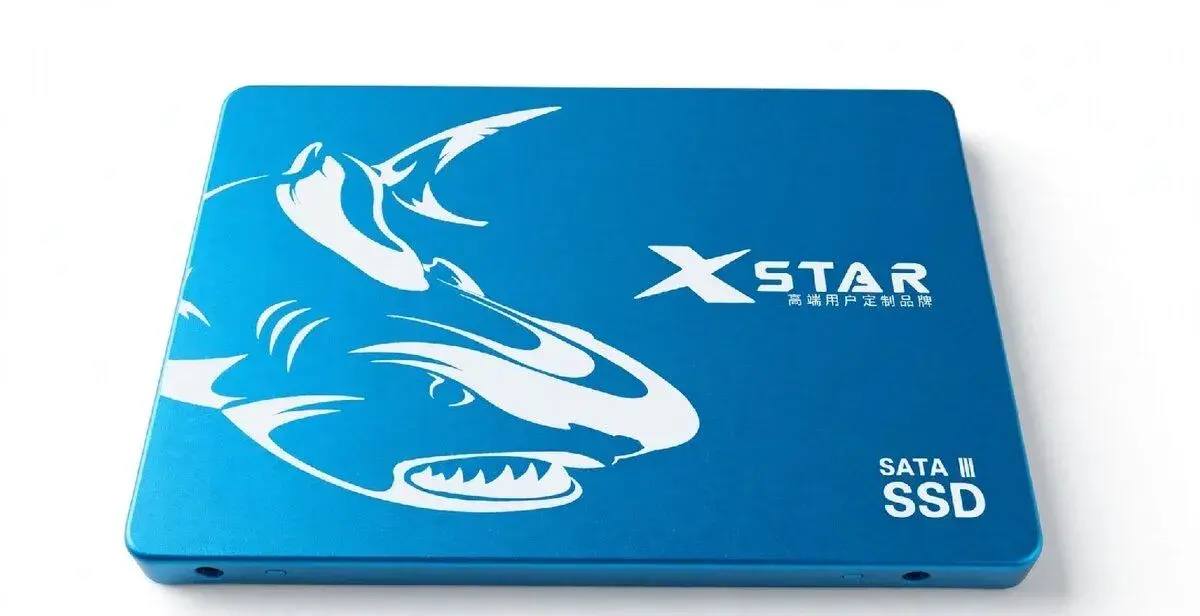 X-STAR 256GB SSD SATA zánovní - Saber Shark 2,5"