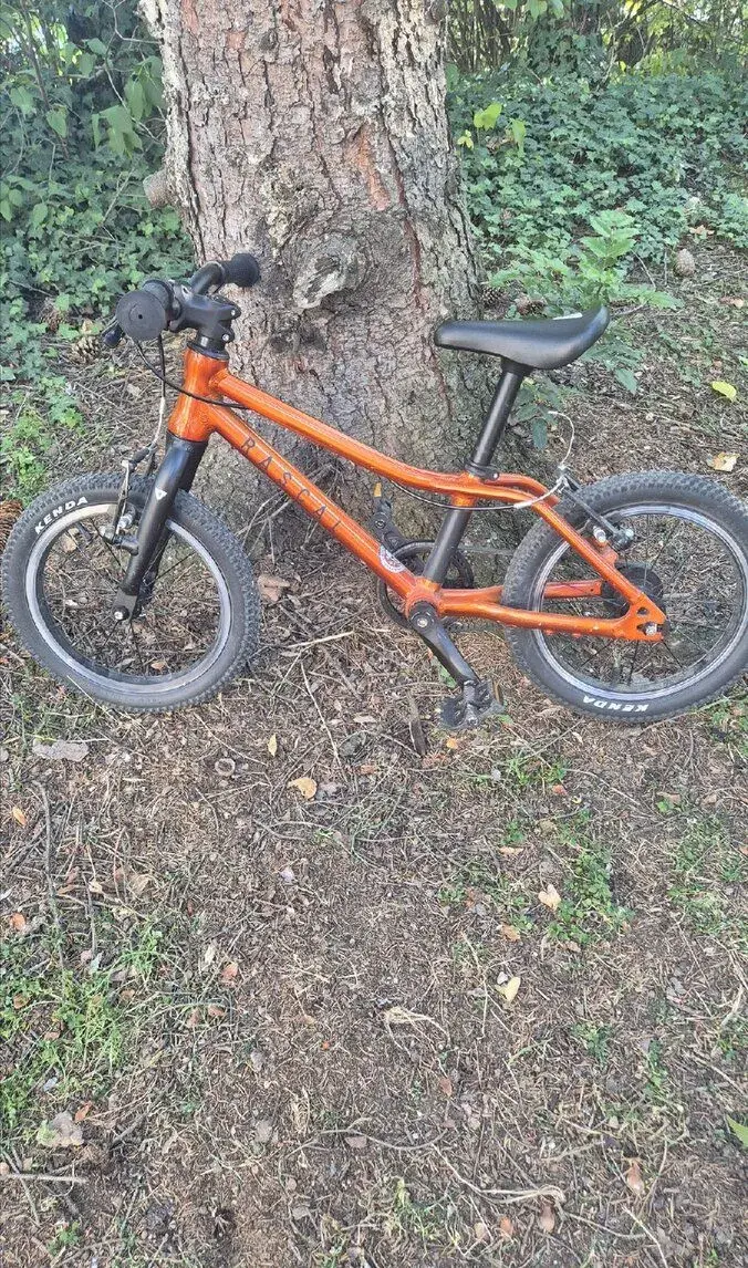 Detske kolo rascal 14