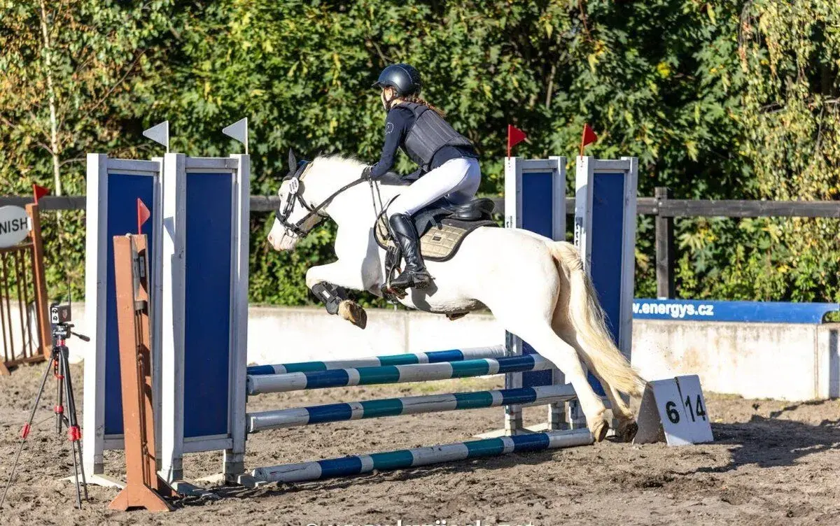 top Pony do sportu