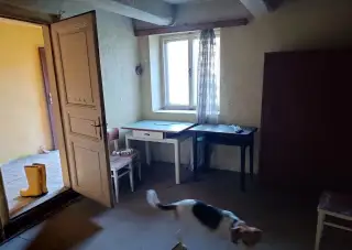 Pronájem místnosti s koupelnou duchodci