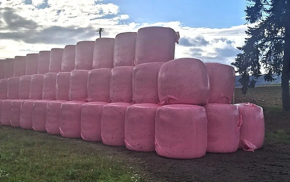 Kukuřičná siláž v balících – 950 kg – Agrosumak