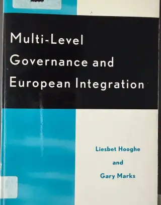 Multilevel governance