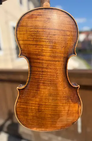 Viola 40 cm