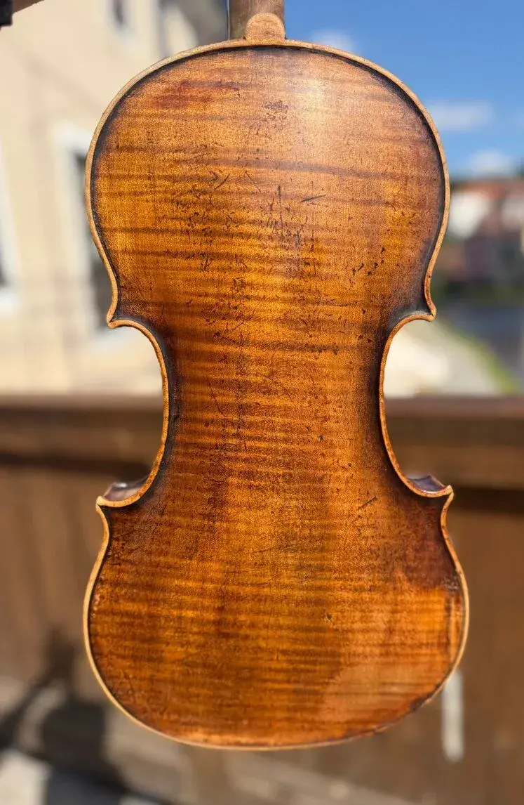 Viola 40 cm
