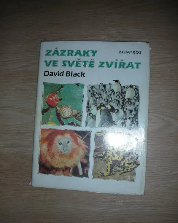 Zázraky ve světě zvířat