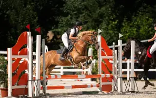 Pony A