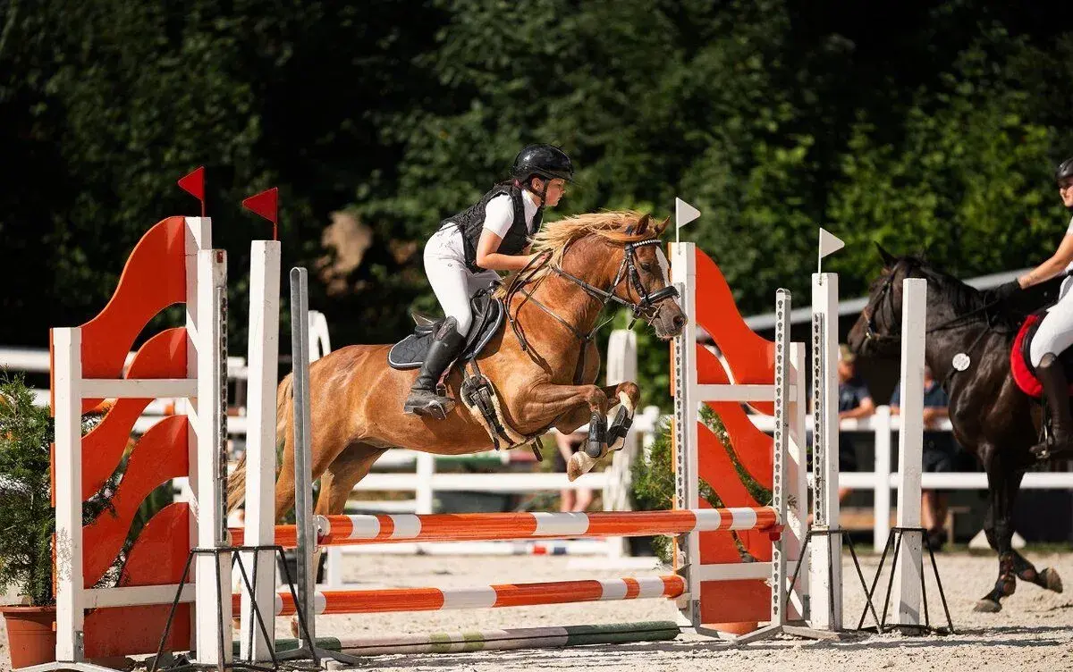 Pony A