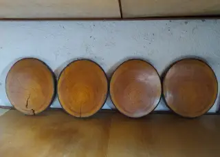 Dřevěné desky na trofej (paroží)