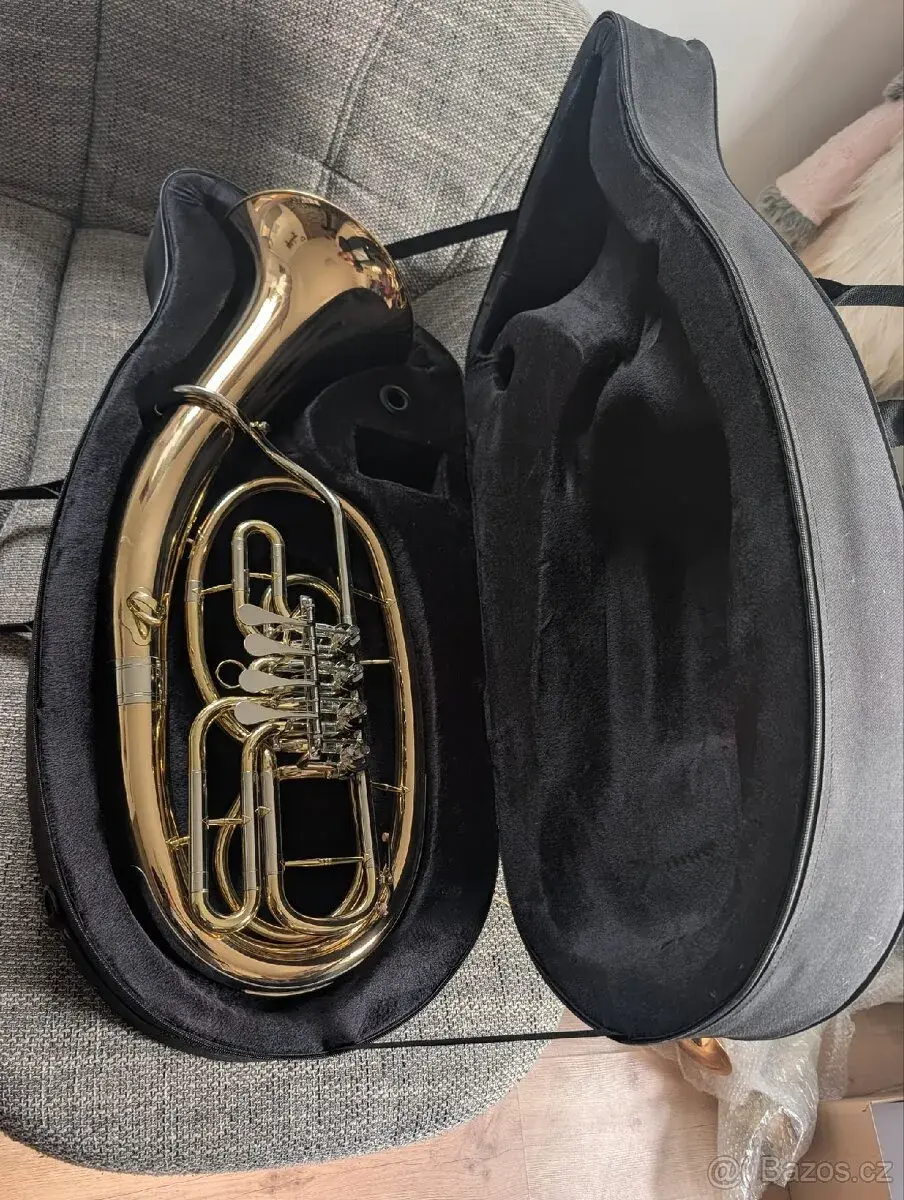 Tenorhorn