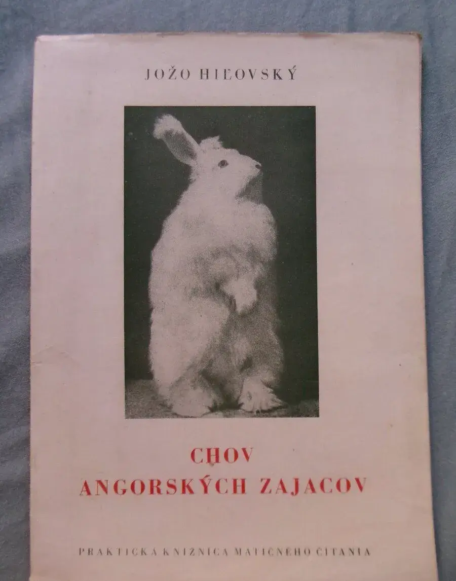 Chov angorských zajacov.