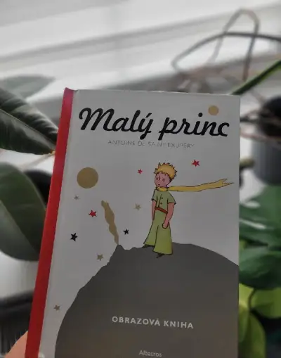 NOVÁ kniha Malý princ - obrazová kniha 3D