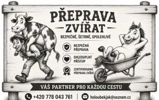 Certifikovana preprava koni