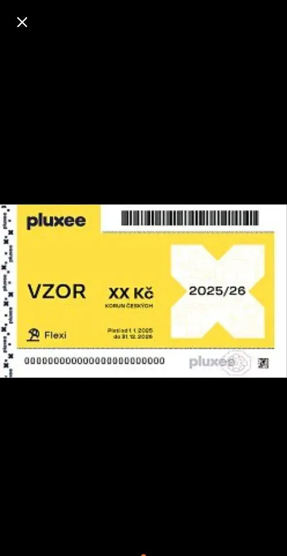 Flexi passy 6.000