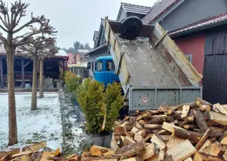 Palivové dřevo