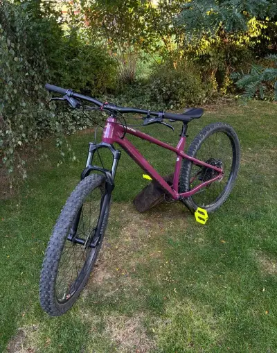 Horské kolo Cannondale Habit HT 2 – Velikost L, 29"