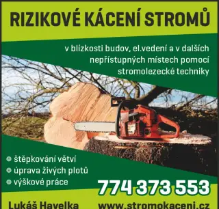 Rizikové kácení stromů - Svitavy, Litomyšl, Moravská Třebová