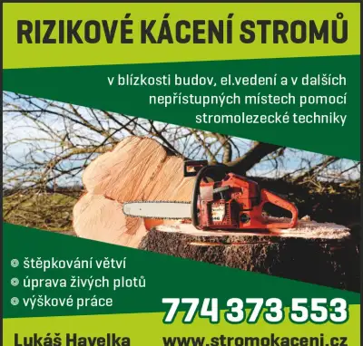 Rizikové kácení stromů - Svitavy, Litomyšl, Moravská Třebová