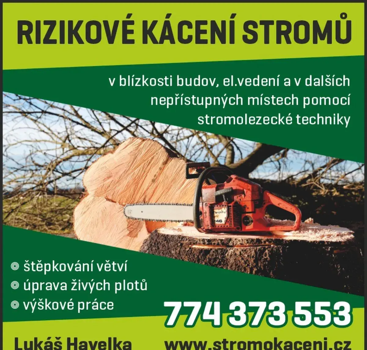 Rizikové kácení stromů - Svitavy, Litomyšl, Moravská Třebová
