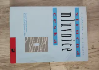 Stručná mluvnice česká