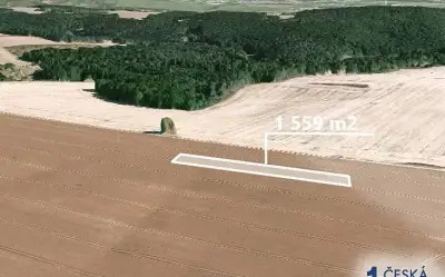 Pole 1 559 m², Podíl 50 % o výměře 780 m²