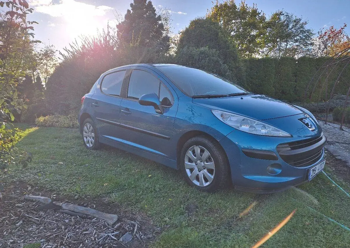 Peugeot 207 – 2007, 100 km