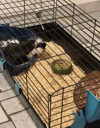 Klec s výbavou.