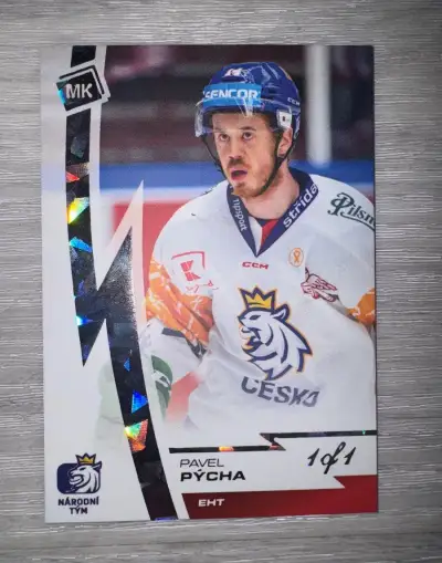 Hokejová kartička Pavel Pýcha