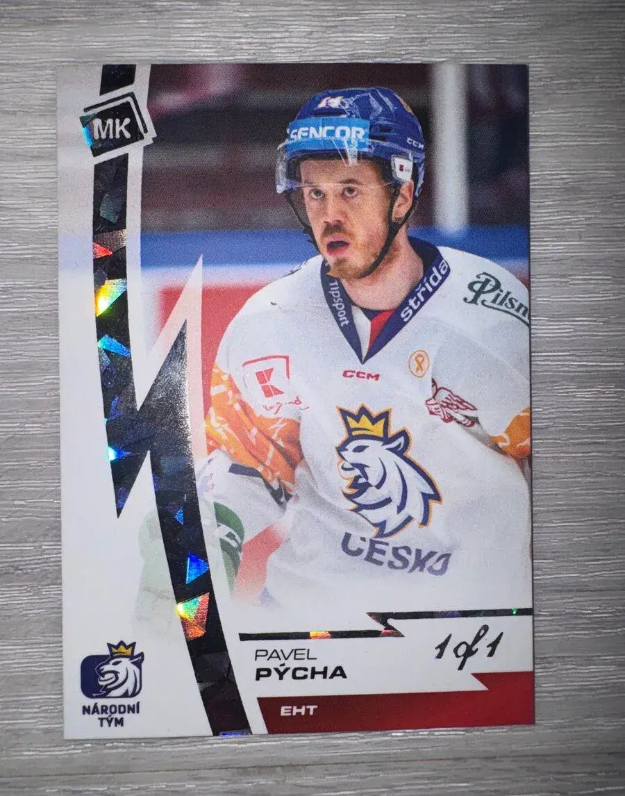 Hokejová kartička Pavel Pýcha