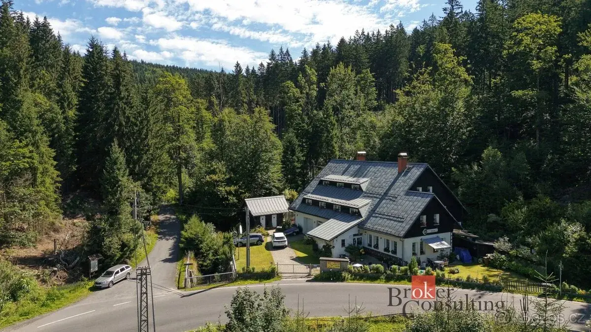 Prodej, komerční/ubytování, 640 m2, Polubenská 747, 46861 De