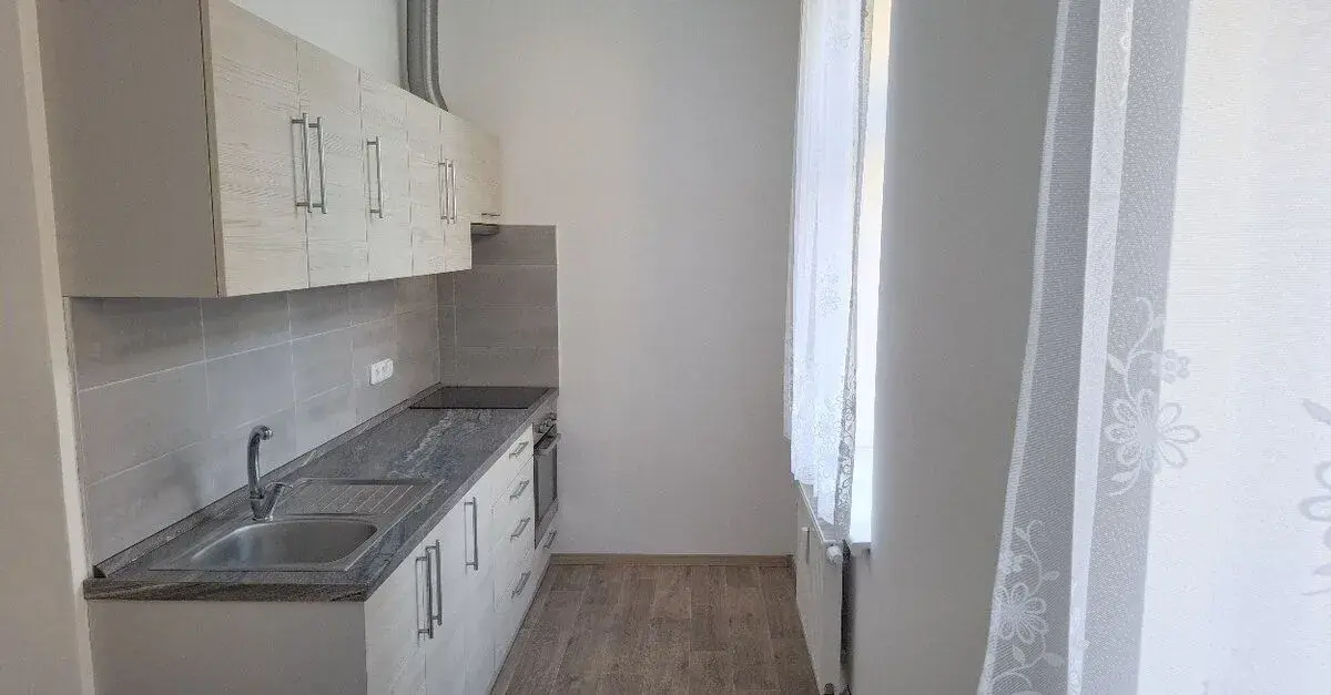 Pronájem bytu 1+1 46m2, BEZ PROVIZE