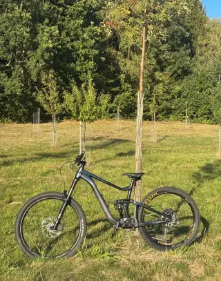 Giant reign 1 vel. L