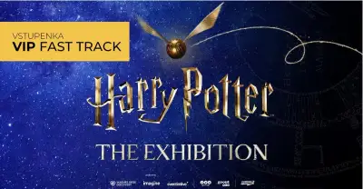 Harry Potter: The Exhibition VIP: Rodina (2+2)