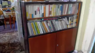 Knihovna tmavé dřevo
