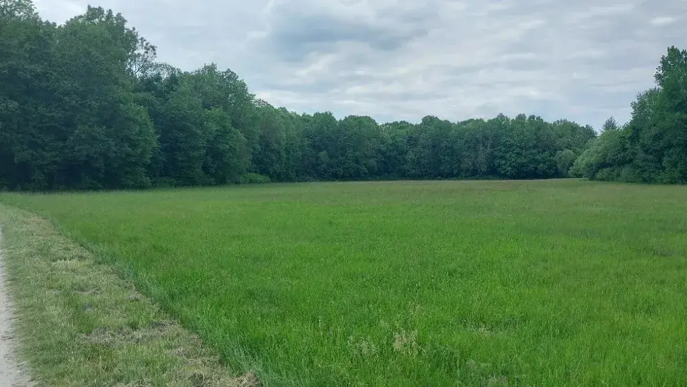 Produktivní louka na seno, rekreaci