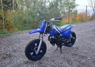 Yamaha PW 50