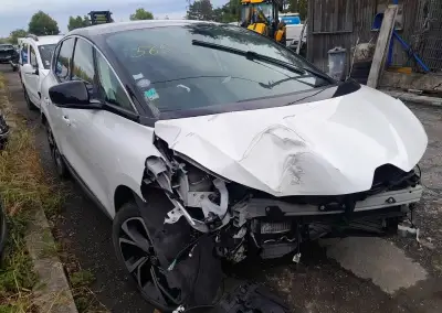 Renault Scénic – 2019, 33 855 km