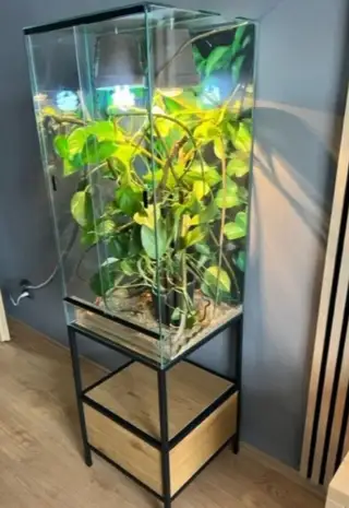 Nové terarium pro chameleona 50x50x10O a jiné stromové gekon