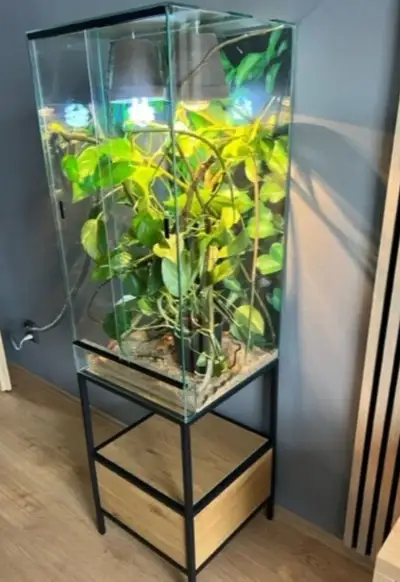 Nové terarium pro chameleona 50x50x10O a jiné stromové gekon