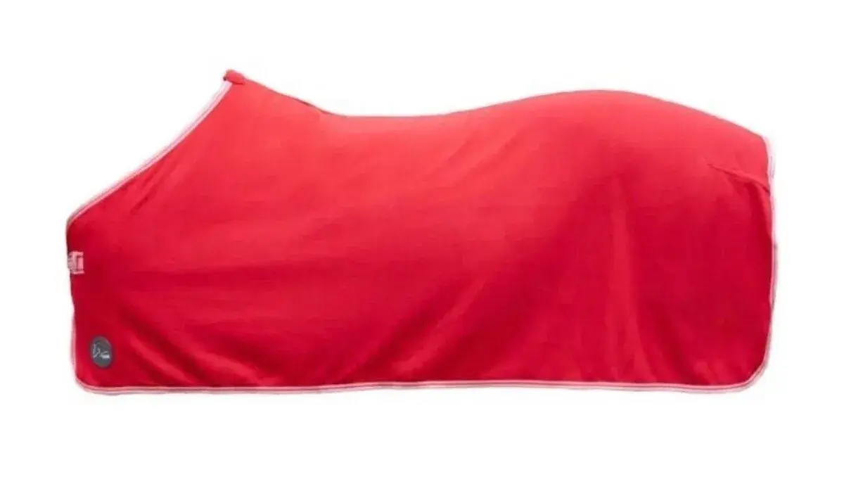 Nová Odpocovací deka Alaska red 150cm