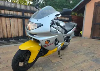 Yamaha YZF 600R Thundercat