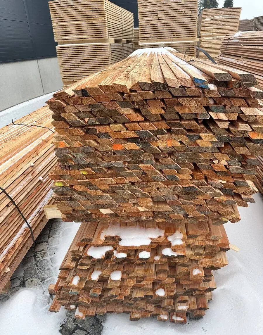 Modřínový rhombus