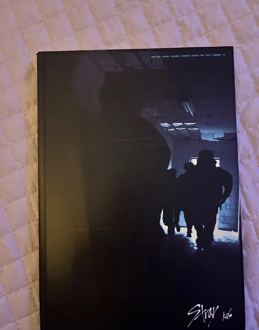 Stray Kids I am: NOT album