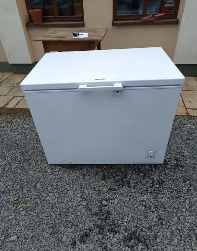 Pultový mrazák 303l