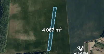 Pole 4 067 m², Podíl 25 % o výměře 1 017 m²