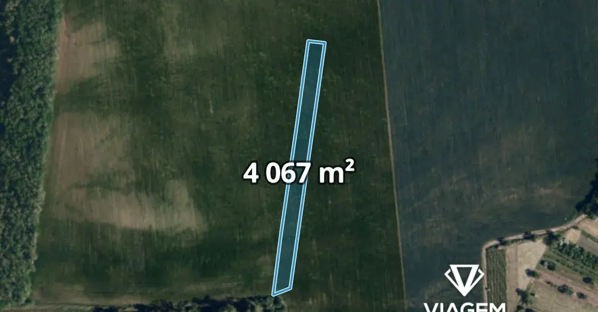 Pole 4 067 m², Podíl 25 % o výměře 1 017 m²
