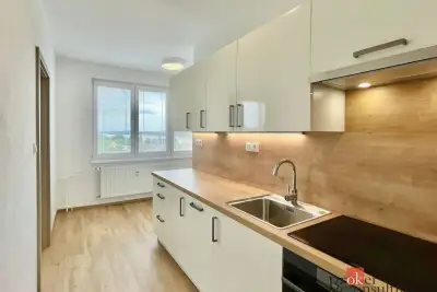 Pronájem, byty/1+1, 43 m2, Školní 576, 37344 Zliv, České Bud